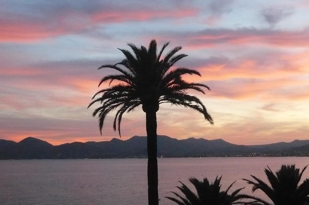 Coeur De Apartment Cannes